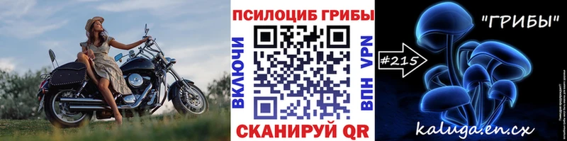 Купить  Льгов  Псилоцибиновые грибы Cubensis 